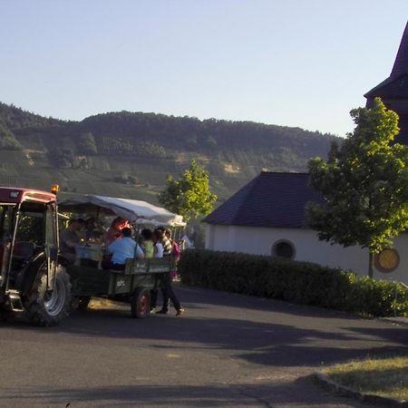 Gaestehaus Alexanderhof Leiwen Buitenkant foto