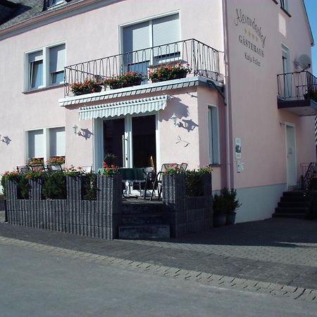 Gaestehaus Alexanderhof Leiwen Buitenkant foto