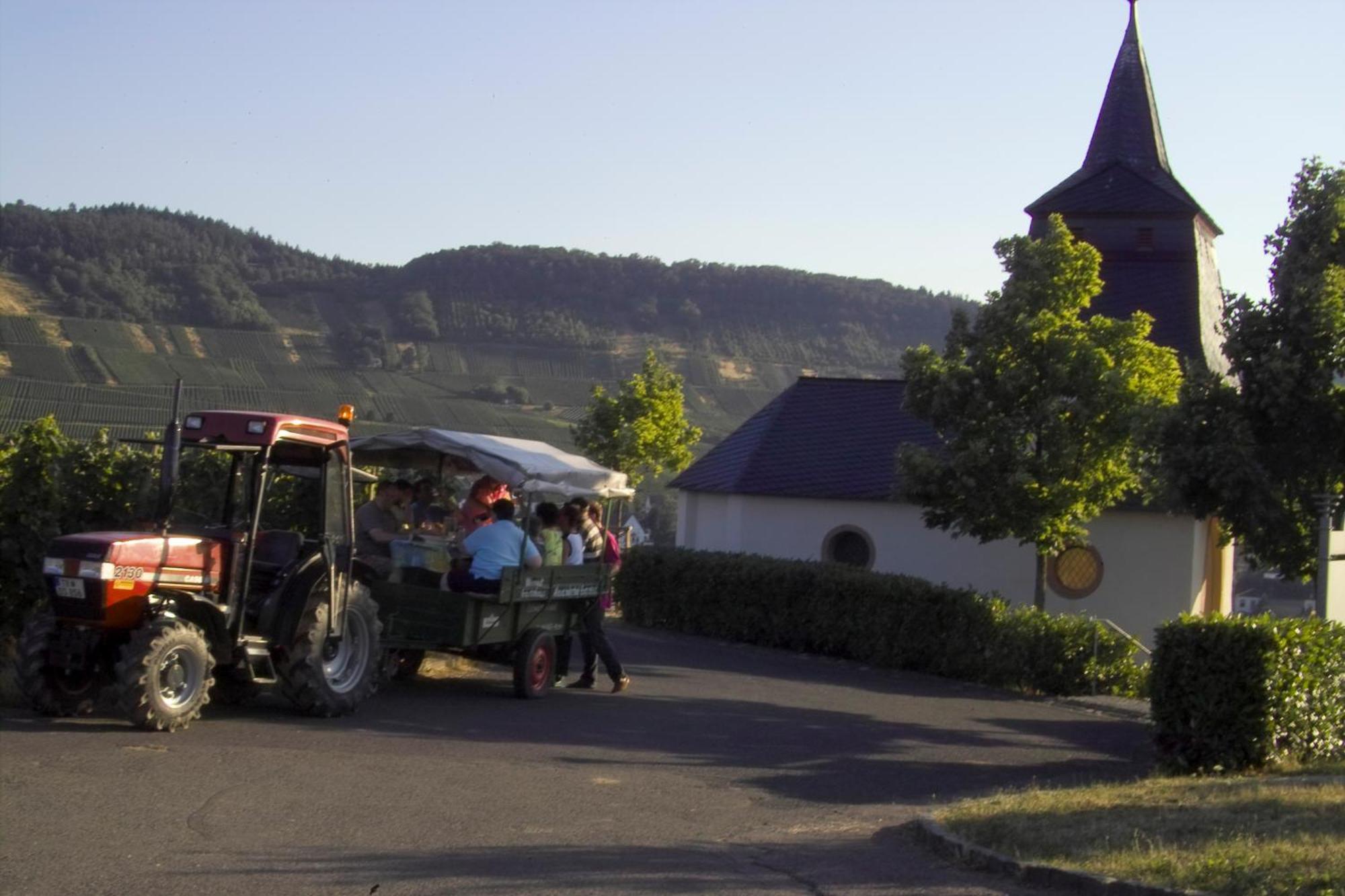 Gaestehaus Alexanderhof Leiwen Buitenkant foto