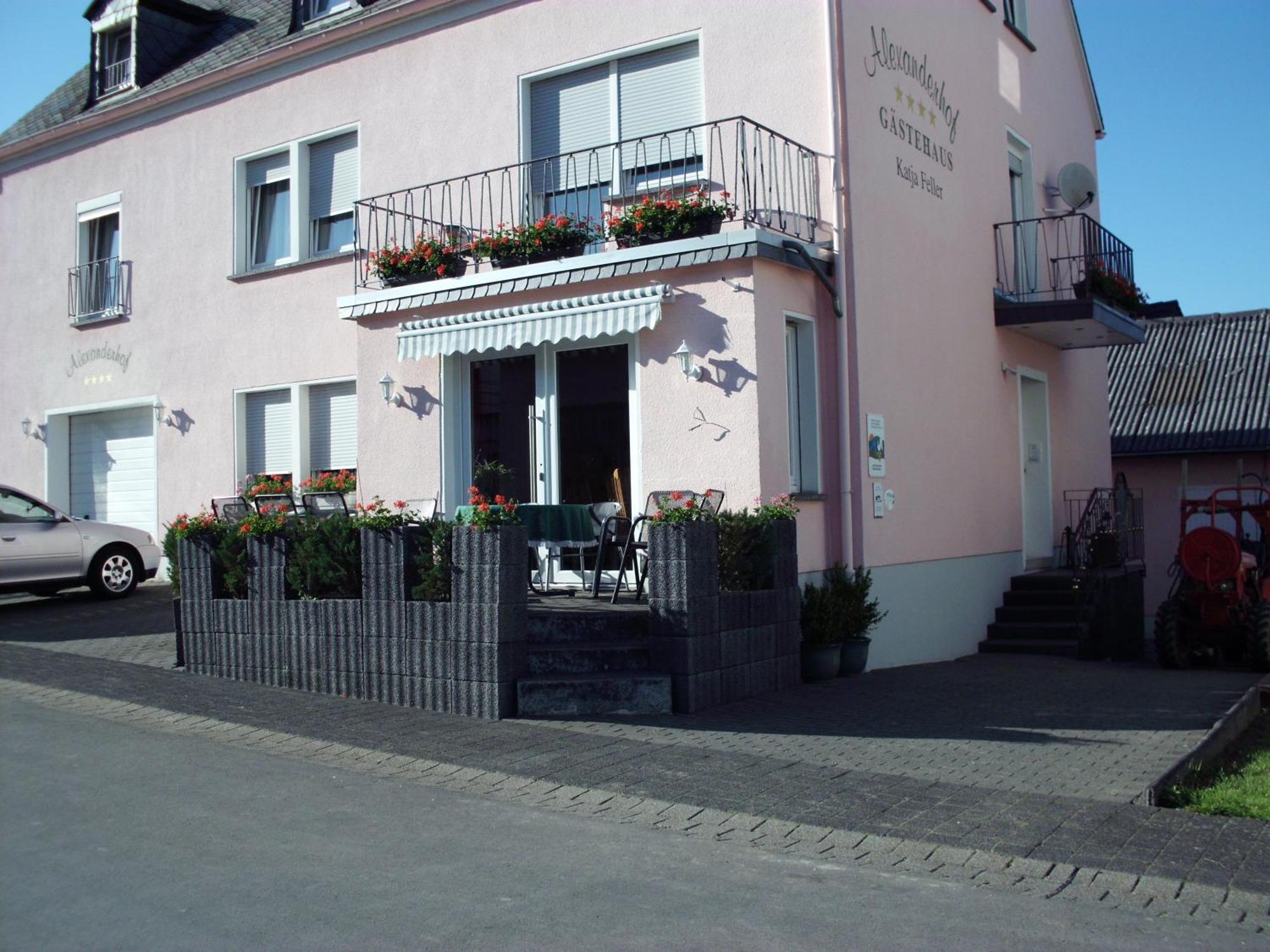Gaestehaus Alexanderhof Leiwen Buitenkant foto