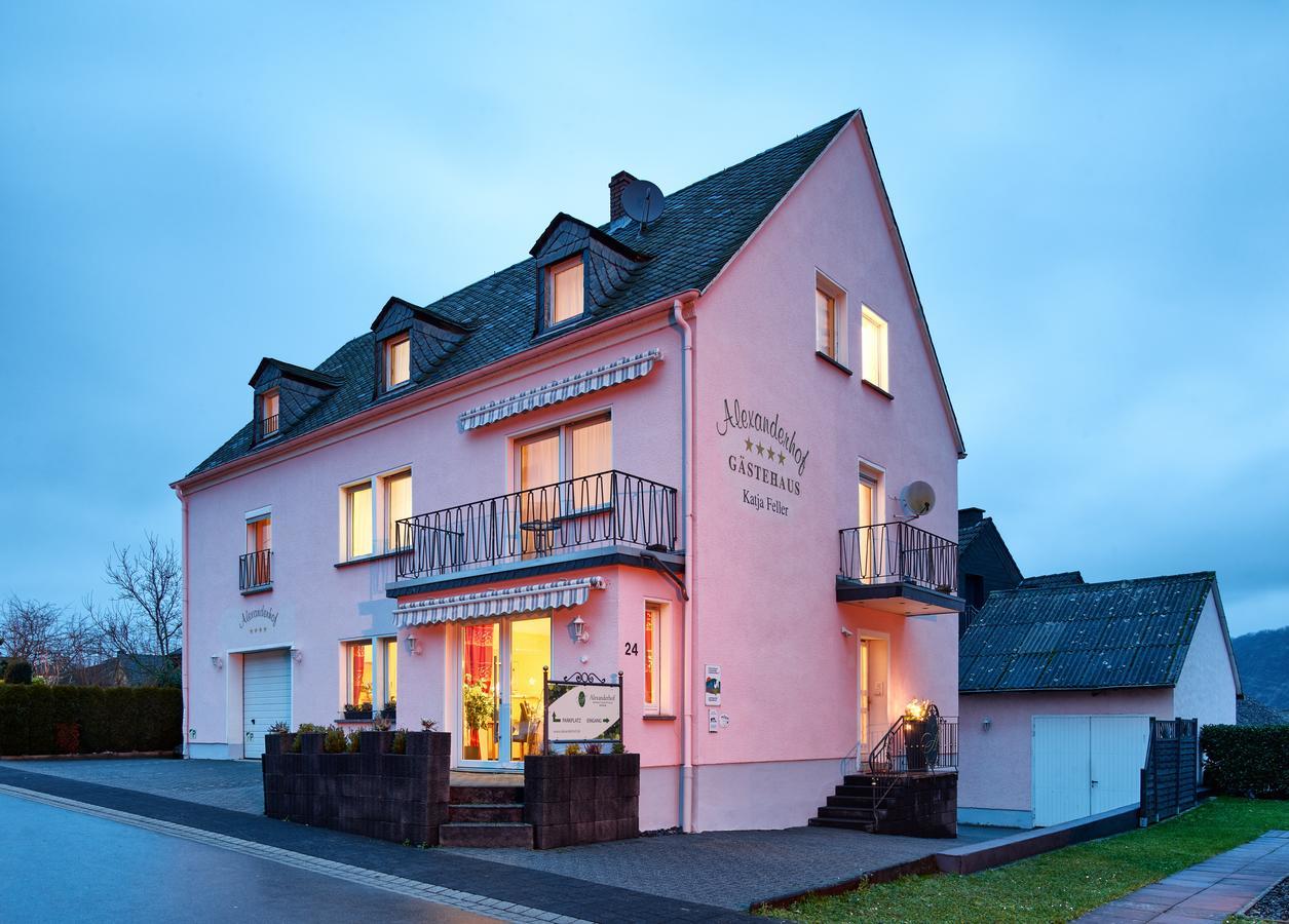 Gaestehaus Alexanderhof Leiwen Buitenkant foto